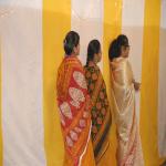 Vraj-Yatra-2014- (2936)